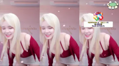 시연p（joahe2）241128