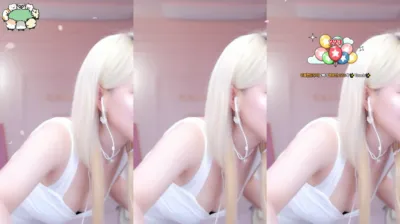 시연p（joahe2）250324