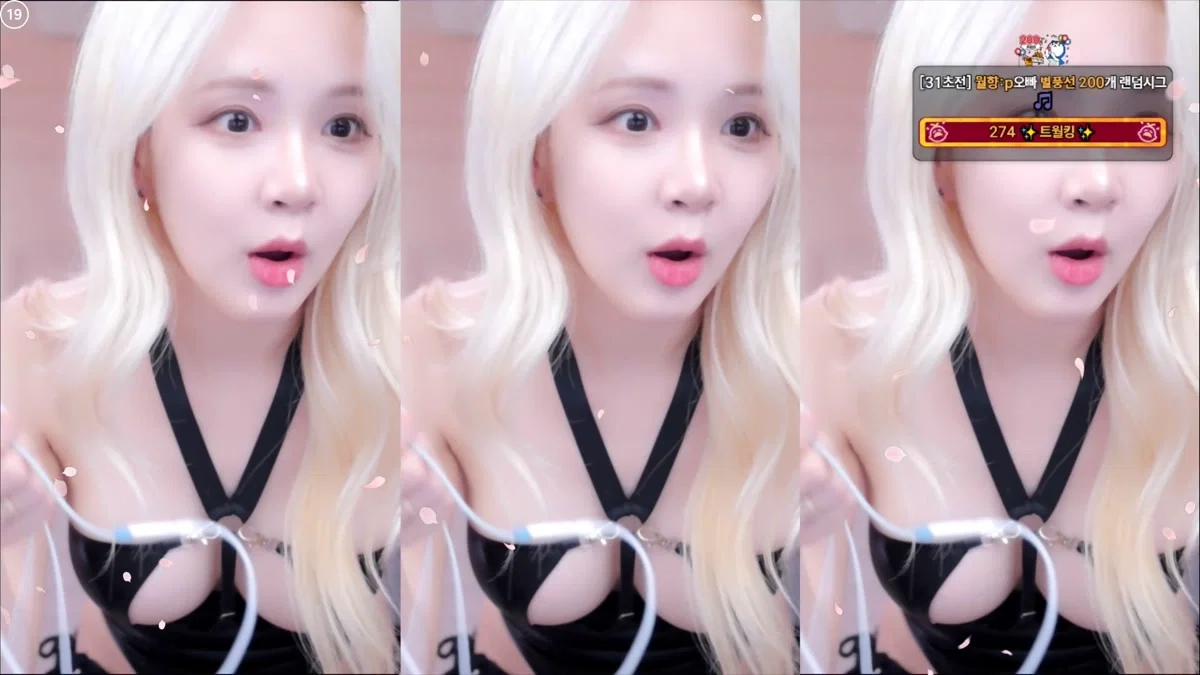 시연p（joahe2）260214