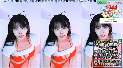 아리샤（feel0100）250827