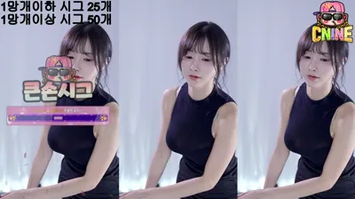 애순이（yunyeson3015）251003