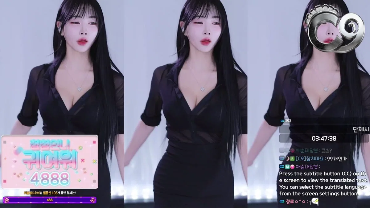 애순이（yunyeson3015）260204