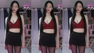 야시아（ulsandodud）241020