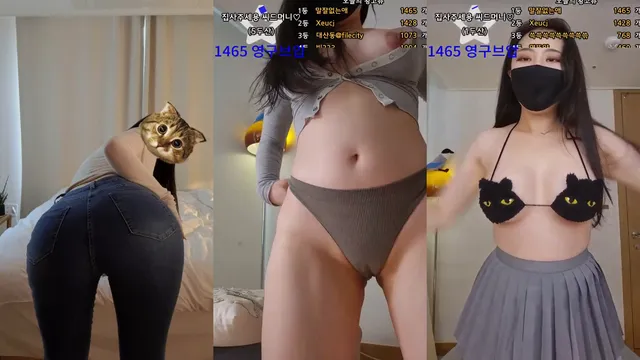 엘루아（banet523）240908