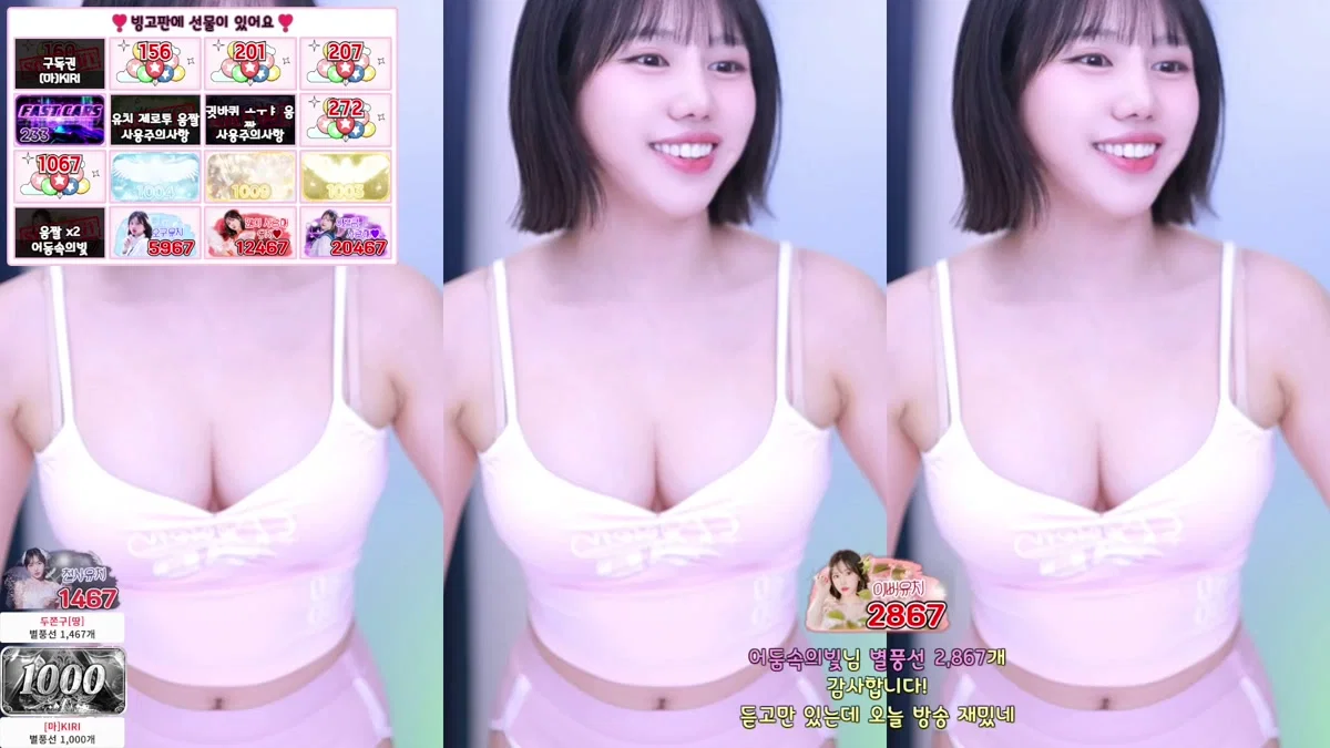 유치땅（youchi00）260124