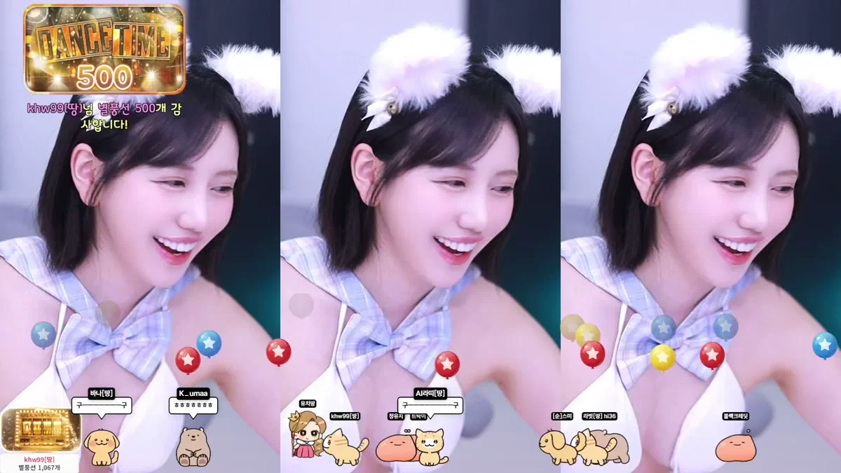 유치땅（youchi00）260303