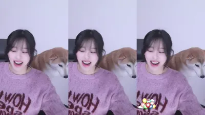 으악이네（ahfotlrp0675）260101