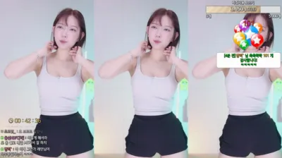 이지각（leelate）240618
