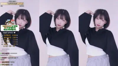 이지각（leelate）241221