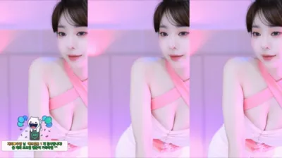 재희。（crazycatsss）240531