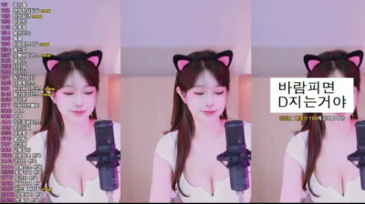 재희。（crazycatsss）250205