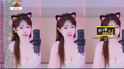 재희。（crazycatsss）250224