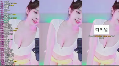 재희。（crazycatsss）250310