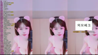 재희。（crazycatsss）250312
