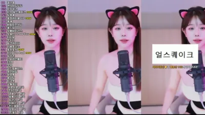 재희。（crazycatsss）250407
