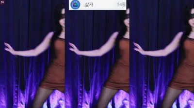 타니。（dleh0824）240829