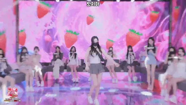 팬더클래스（pandaclass）260324