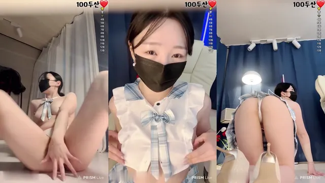 프리지아✿（1004162）240211