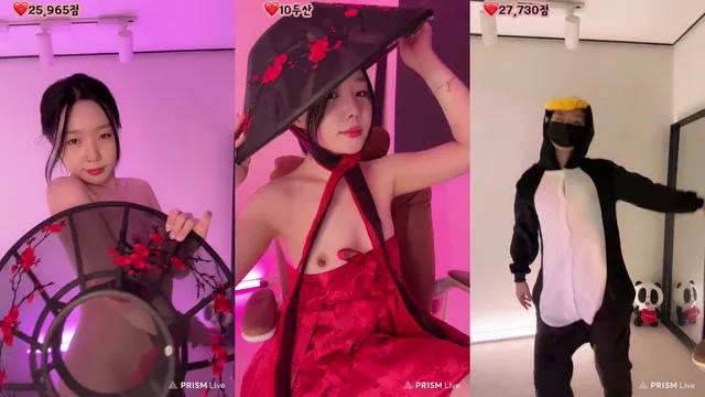 프리지아✿（1004162）250227