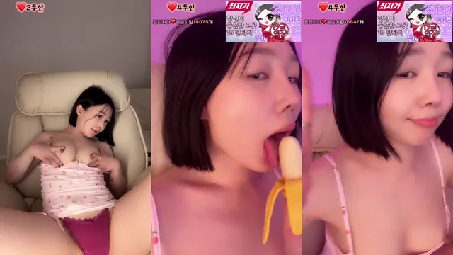 프리지아✿（1004162）250410