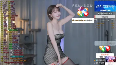 하설아（rlemaos）241102
