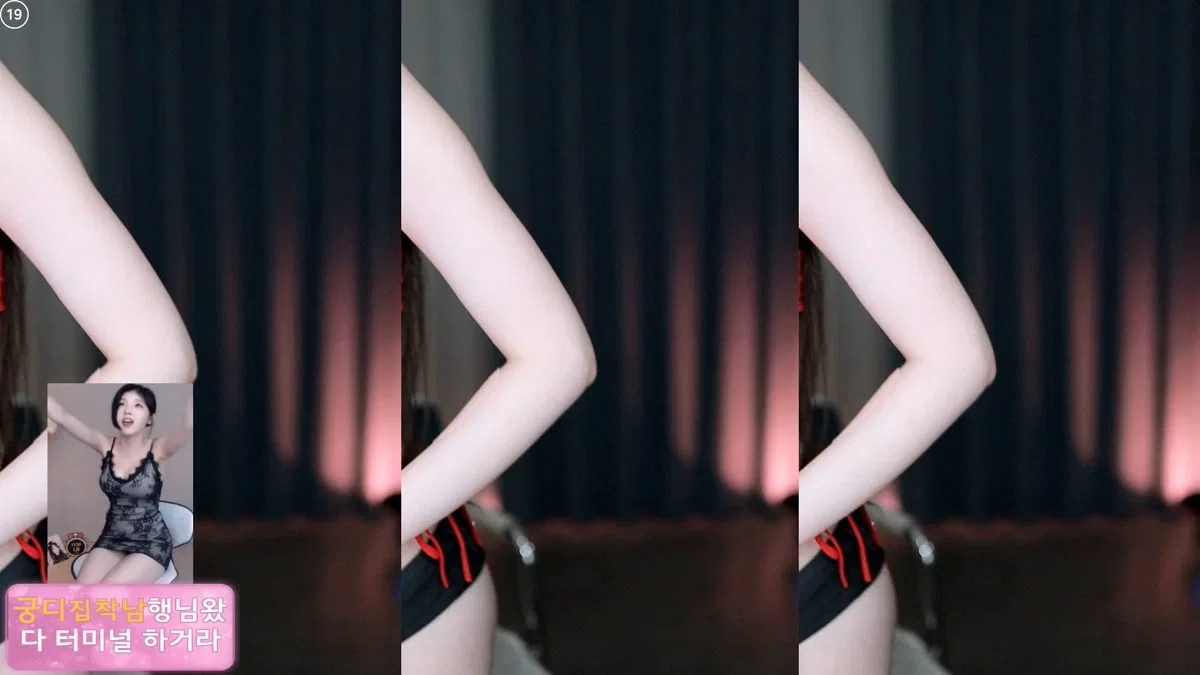 BJ햄찡（gusdk2362）260327