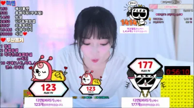 E다연（dayeosin）250605