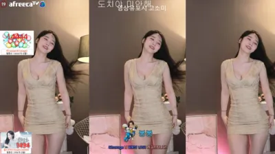 S2금화（e000e77）230331