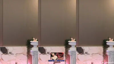 S2금화（e000e77）231204