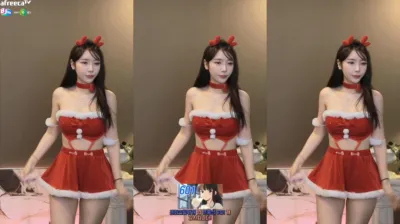 S2금화（e000e77）231224