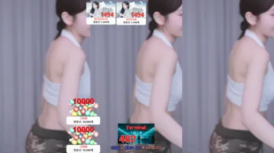 S2금화（e000e77）241011