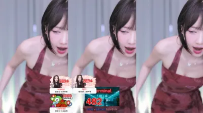 S2금화（e000e77）250205