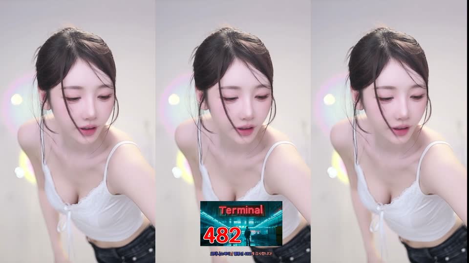 S2금화（e000e77）260828