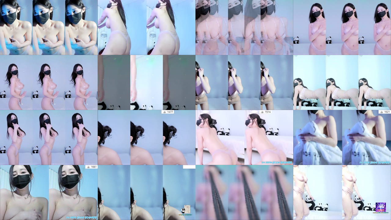 ღ하이ღ（hidana）251006