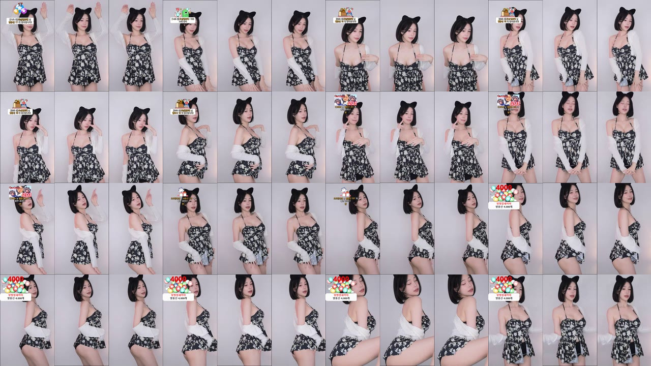 ♥도도（life2456）241118