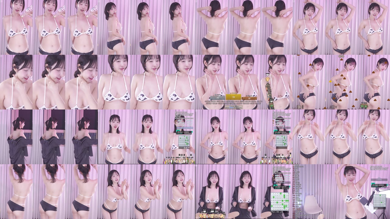 둘기얏（1004ysus）260321