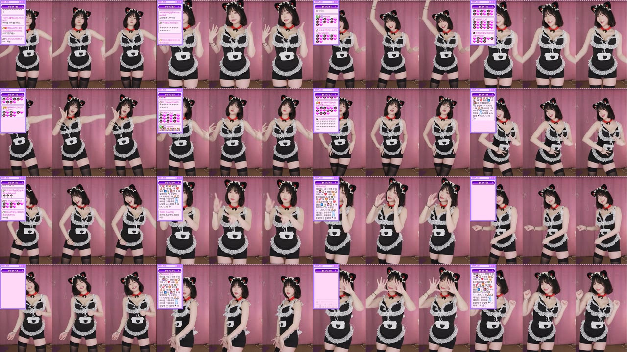 마젠타（magenta62）220214