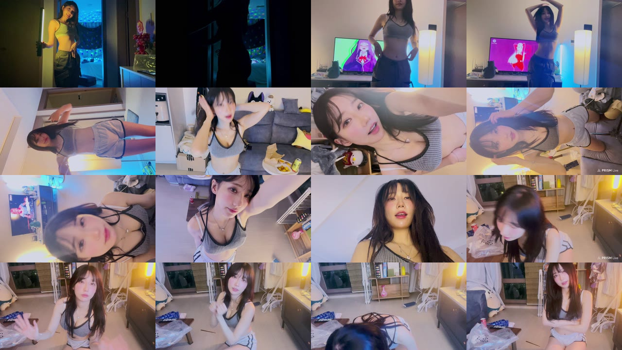 마젠타（magenta62）221110