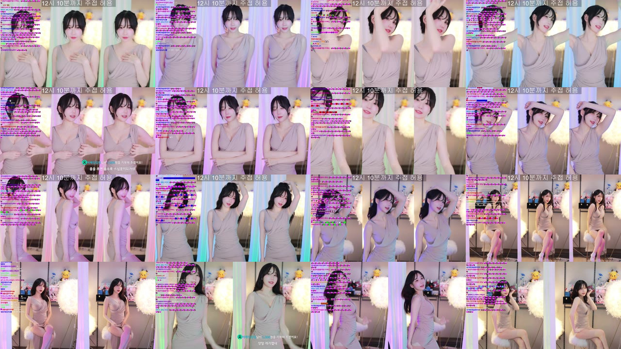 마젠타（magenta62）230126
