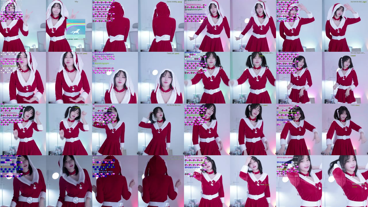마젠타（magenta62）231224