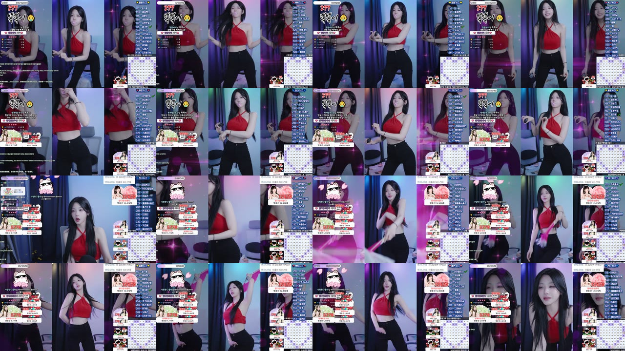 박틸다（tildaaa）260101