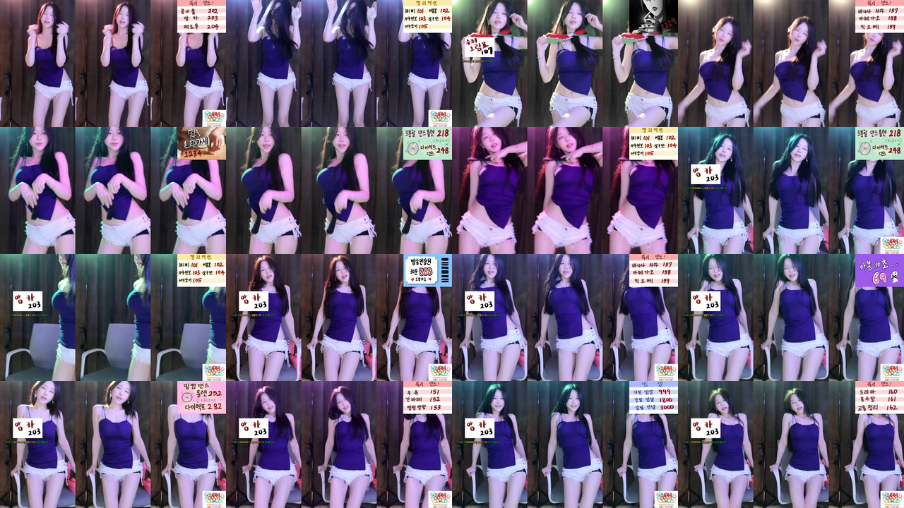 붓잽이（km5430678）240118