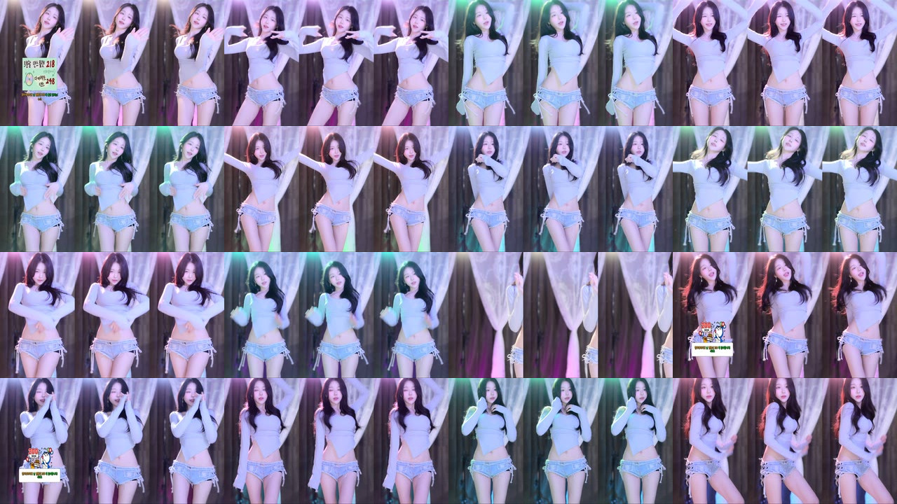 붓잽이（km5430678）240207
