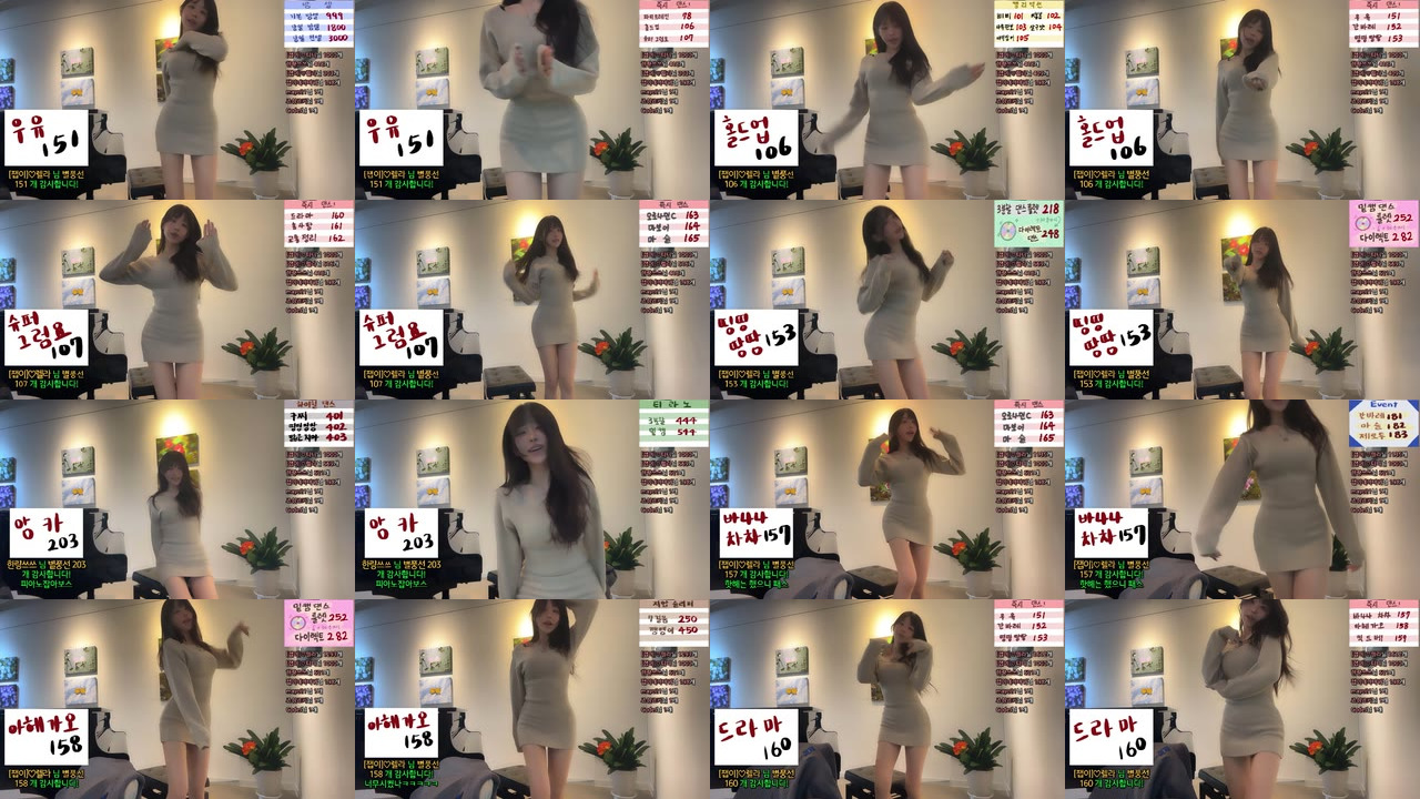 붓잽이（km5430678）240314