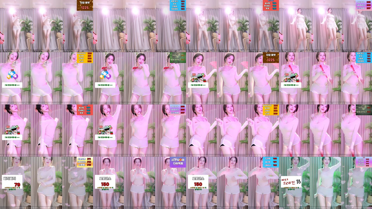 붓잽이（km5430678）240530