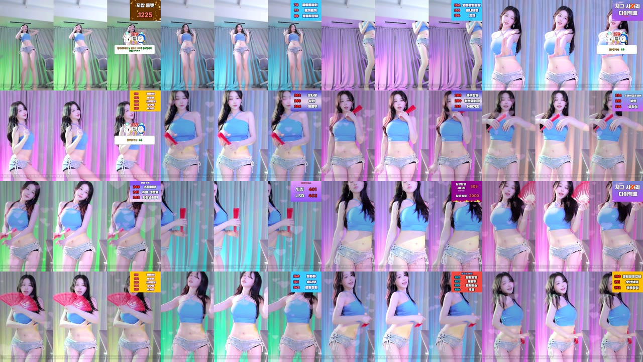 붓잽이（km5430678）240802