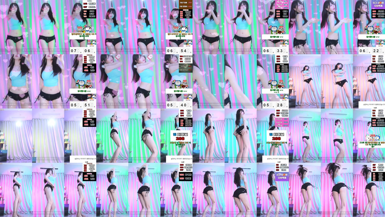 붓잽이（km5430678）241113
