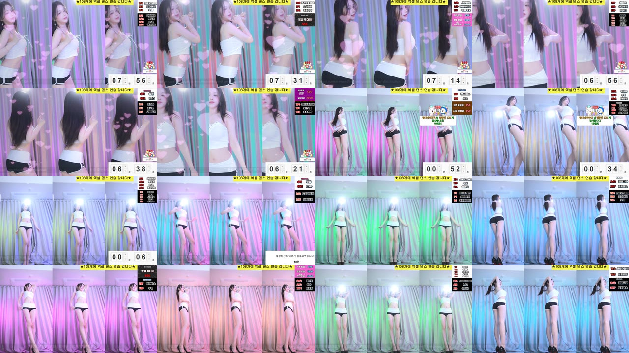 붓잽이（km5430678）241127