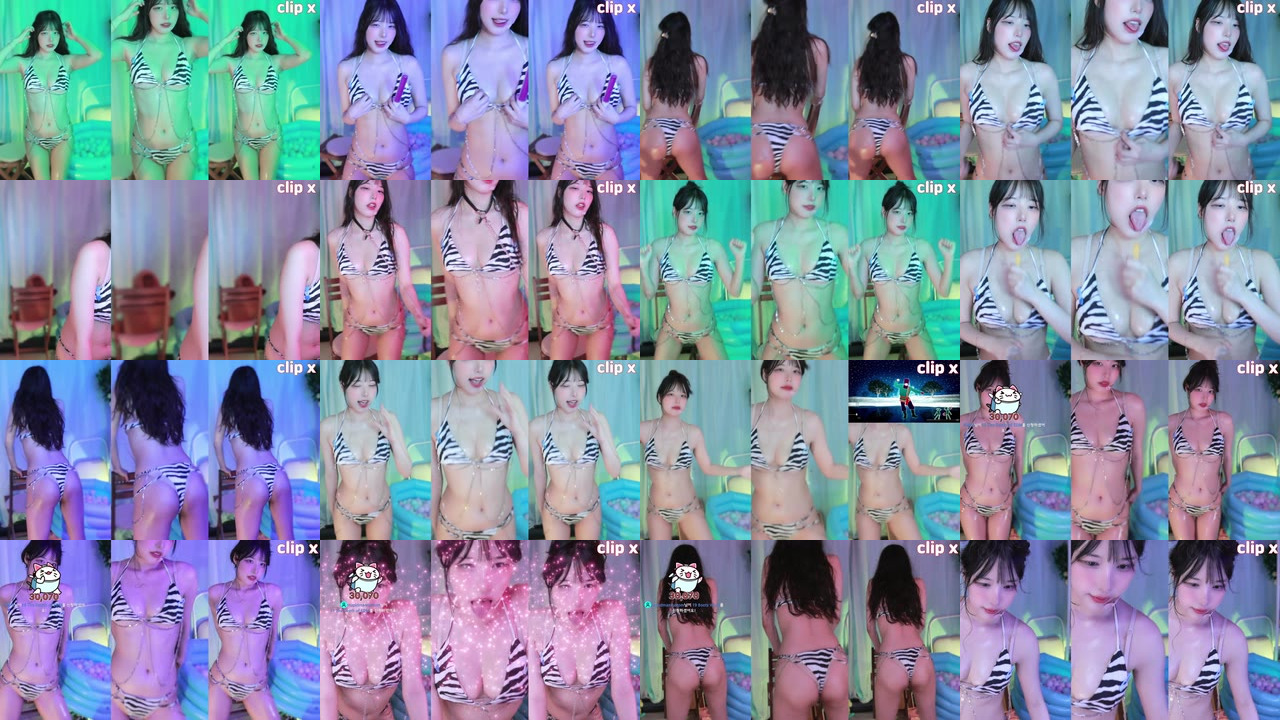 세계（world1104）251010