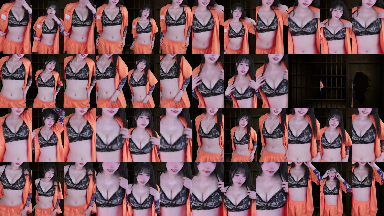 세계（world1104）251021